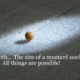 msuatrd seed faith