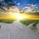 paths